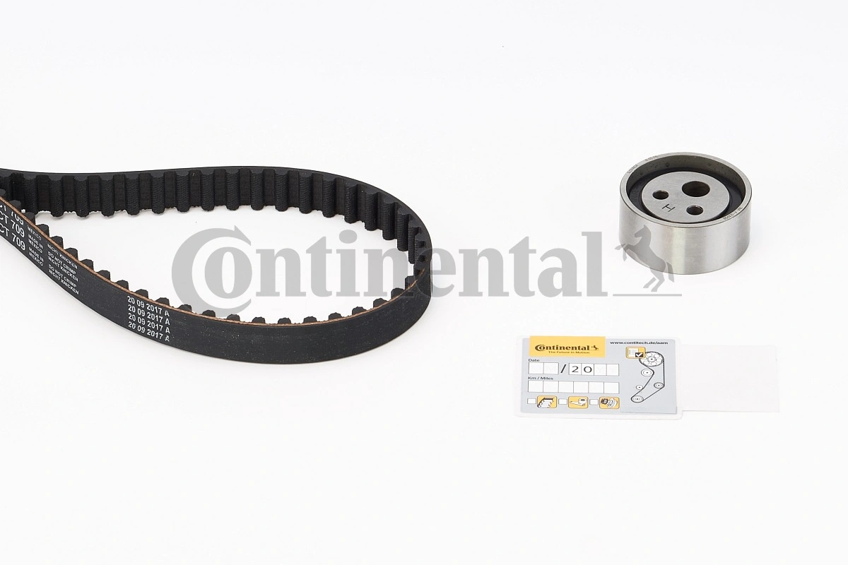 Timing Belt Kit